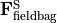 \VField{F}^{\mathrm{S}}_\mathrm{fieldbag}